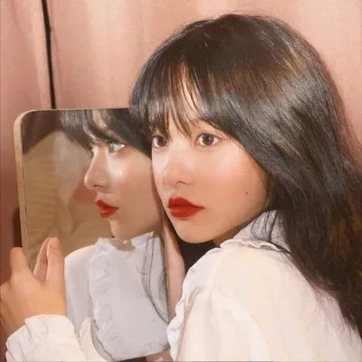 极地一年